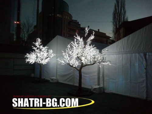 ����� ��� ���� @ www.shatri-bg.com